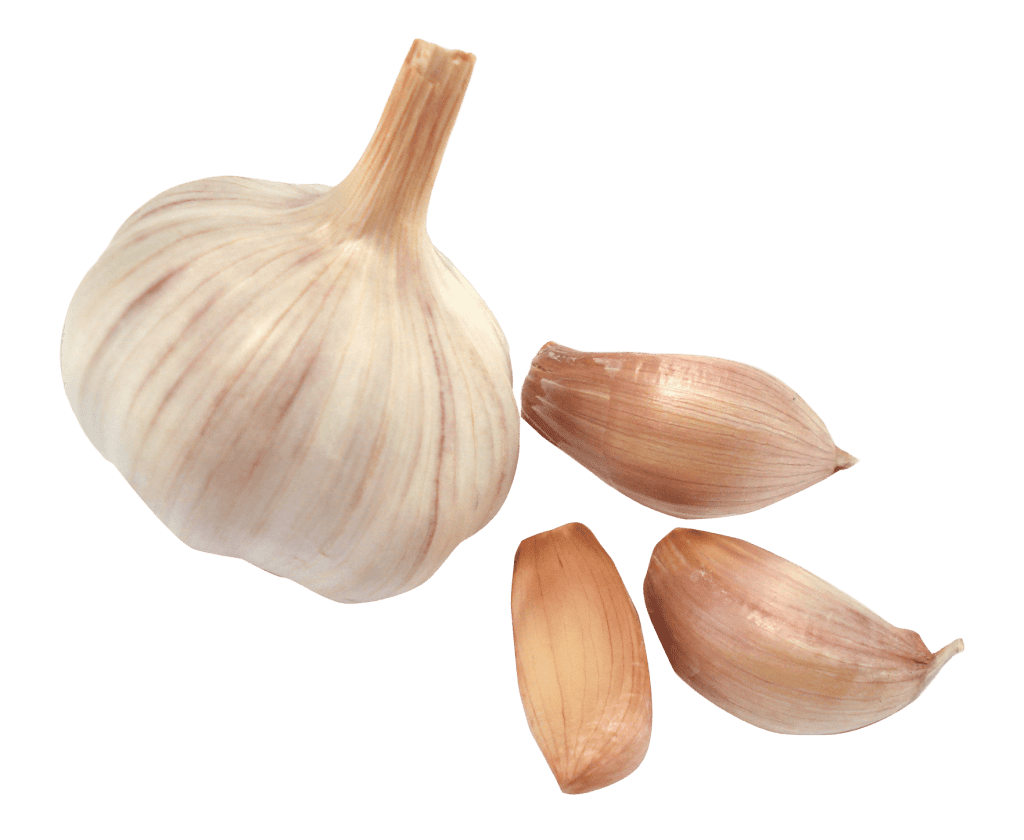 Garlic-PNG-Picture-1-min